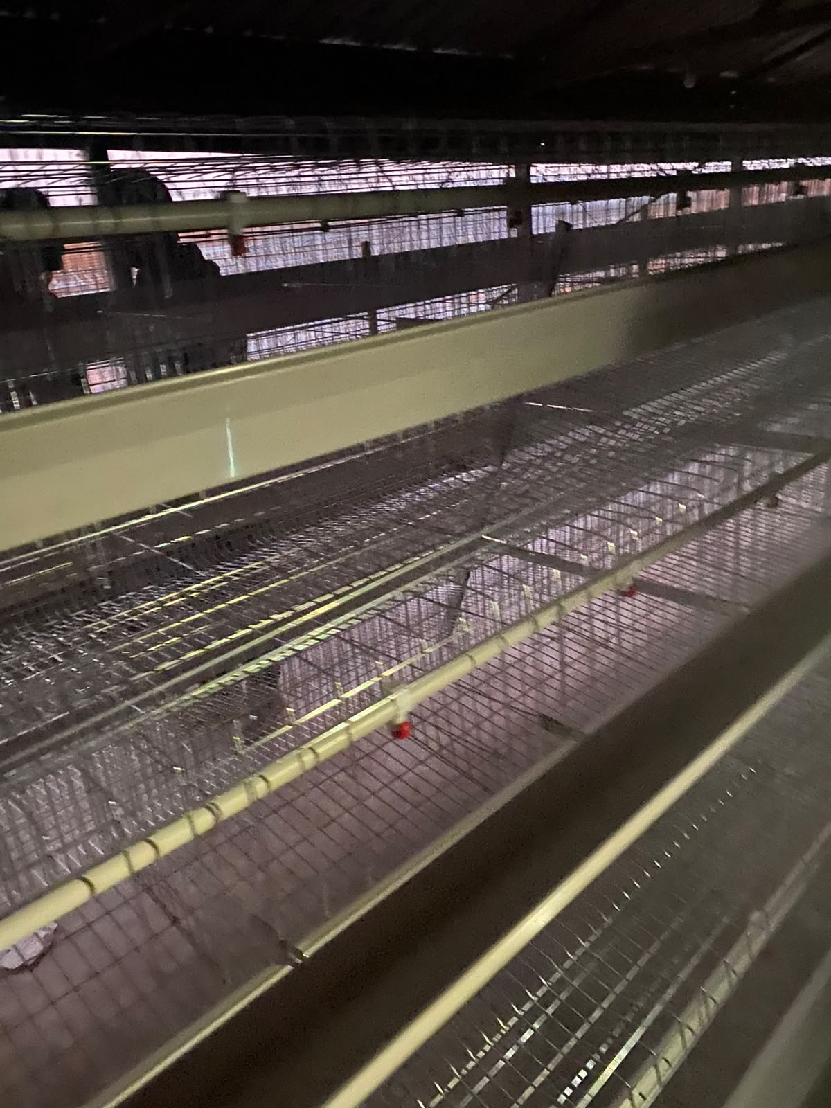 Fileiras de baterias galvanizadas instaladas num pavilhão